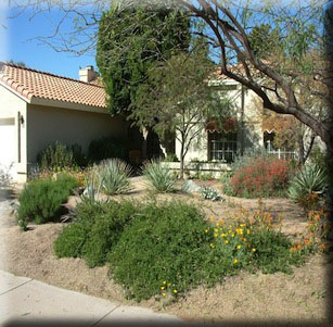 Grass Conversion to Color